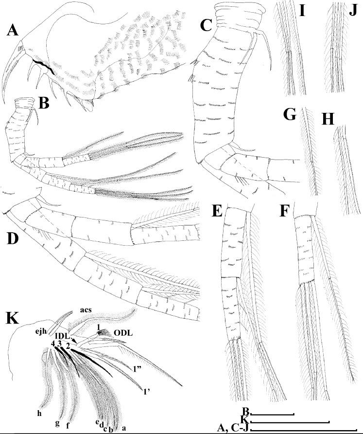 https://cdn.ncbi.nlm.nih.gov/pmc/blobs/29e5/7698698/fcc37a50816c/peerj-08-10410-g012.jpg