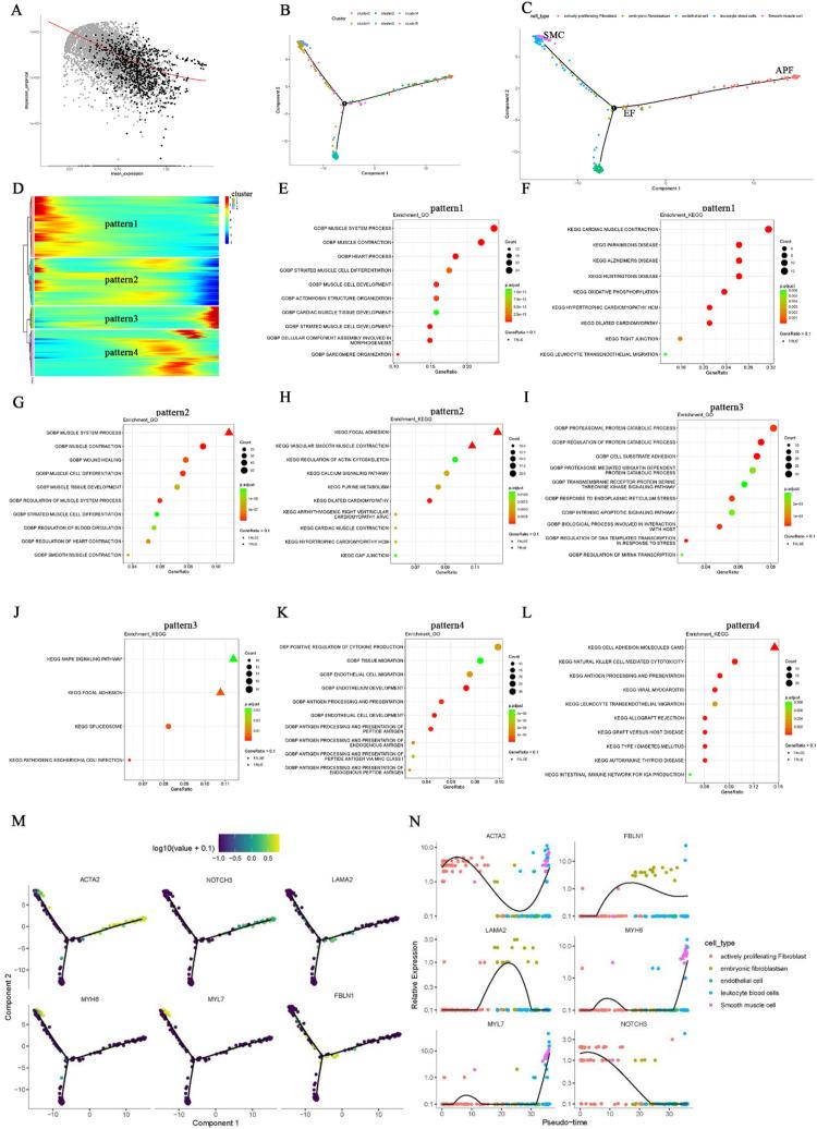 https://cdn.ncbi.nlm.nih.gov/pmc/blobs/29e6/12394505/b19de72ed46f/fcvm-12-1615574-g003.jpg