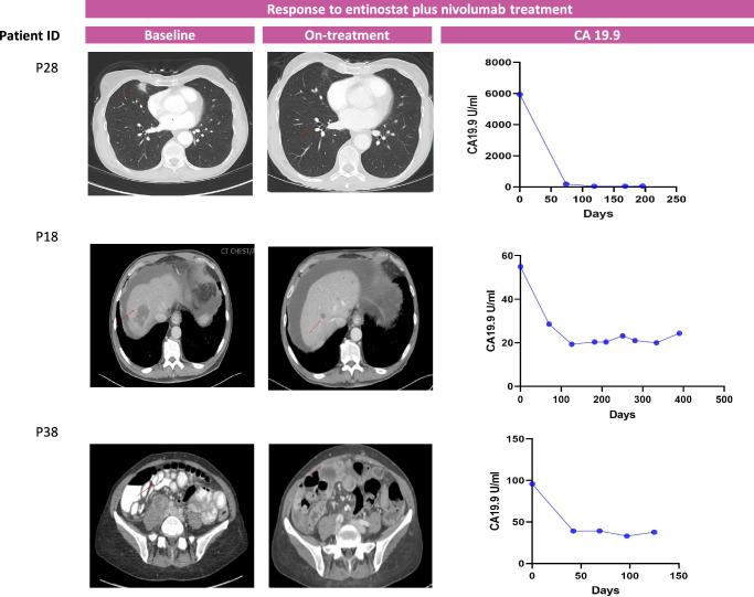 https://cdn.ncbi.nlm.nih.gov/pmc/blobs/29e7/11557583/27c0a3289da5/41467_2024_52528_Fig3_HTML.jpg