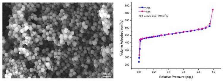 https://cdn.ncbi.nlm.nih.gov/pmc/blobs/29e7/12195930/b590cc2c7334/molecules-30-02480-g001.jpg