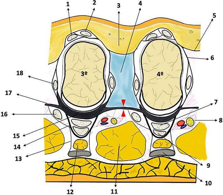 https://cdn.ncbi.nlm.nih.gov/pmc/blobs/29ec/8246909/9957d7a311d0/CA-34-678-g001.jpg