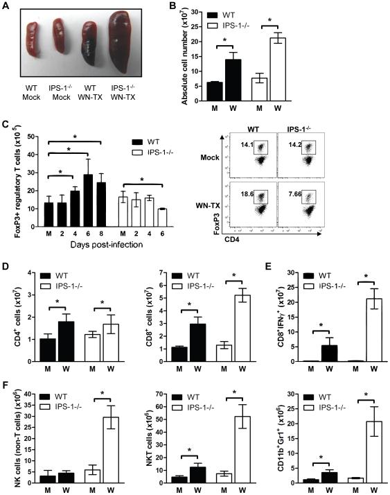 https://cdn.ncbi.nlm.nih.gov/pmc/blobs/29ed/2816698/0c411bd2a035/ppat.1000757.g007.jpg
