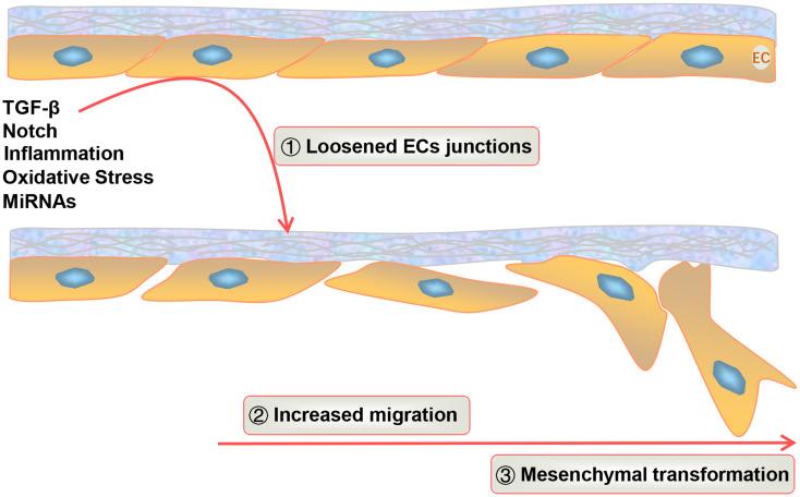 https://cdn.ncbi.nlm.nih.gov/pmc/blobs/29ef/12008988/840c6431fd9f/13578_2025_1393_Fig2_HTML.jpg