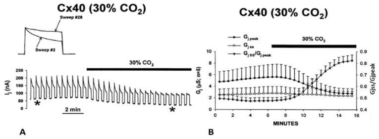 https://cdn.ncbi.nlm.nih.gov/pmc/blobs/29f4/10815820/0486ba75dd8b/ijms-25-00982-g015.jpg