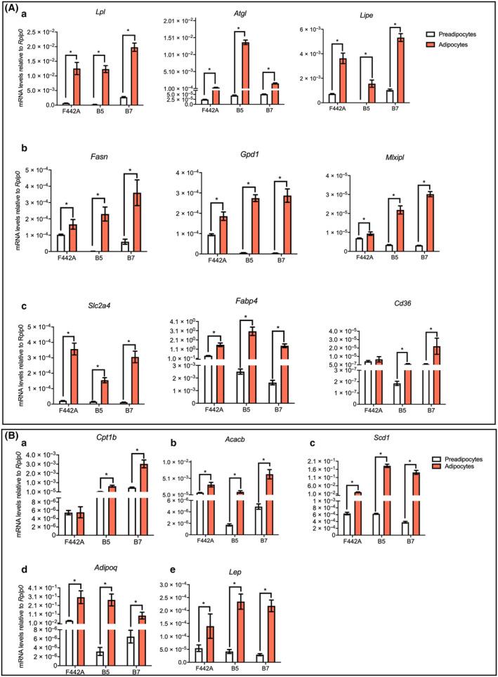 https://cdn.ncbi.nlm.nih.gov/pmc/blobs/29f6/11492321/6970c61fe95d/FEB4-14-1503-g001.jpg