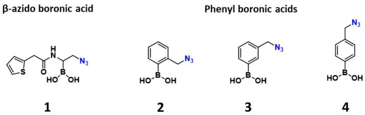 https://cdn.ncbi.nlm.nih.gov/pmc/blobs/29f6/12071365/bc2ae7fdfd88/ijms-26-04182-g003.jpg