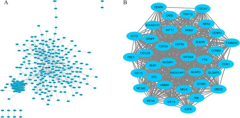 https://cdn.ncbi.nlm.nih.gov/pmc/blobs/29f6/6857166/022b6d05d27a/13048_2019_578_Fig3_HTML.jpg