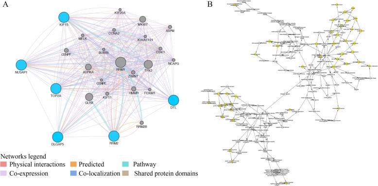 https://cdn.ncbi.nlm.nih.gov/pmc/blobs/29f6/6857166/6c4a47882797/13048_2019_578_Fig7_HTML.jpg