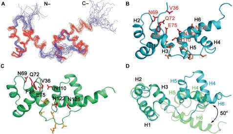 https://cdn.ncbi.nlm.nih.gov/pmc/blobs/29f7/2673439/3896dd289808/gkp097f5.jpg