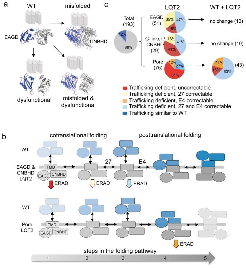https://cdn.ncbi.nlm.nih.gov/pmc/blobs/29f9/4243539/0e122c46b154/nihms634670f9.jpg