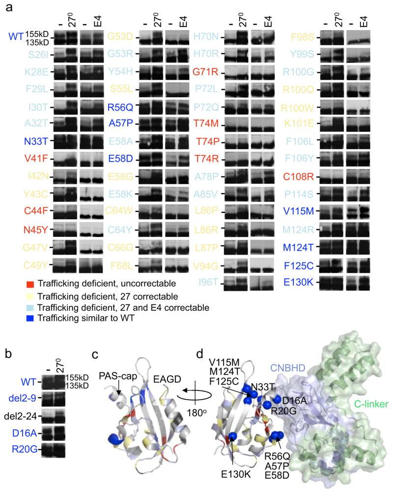 https://cdn.ncbi.nlm.nih.gov/pmc/blobs/29f9/4243539/3832c23faf2b/nihms634670f2.jpg