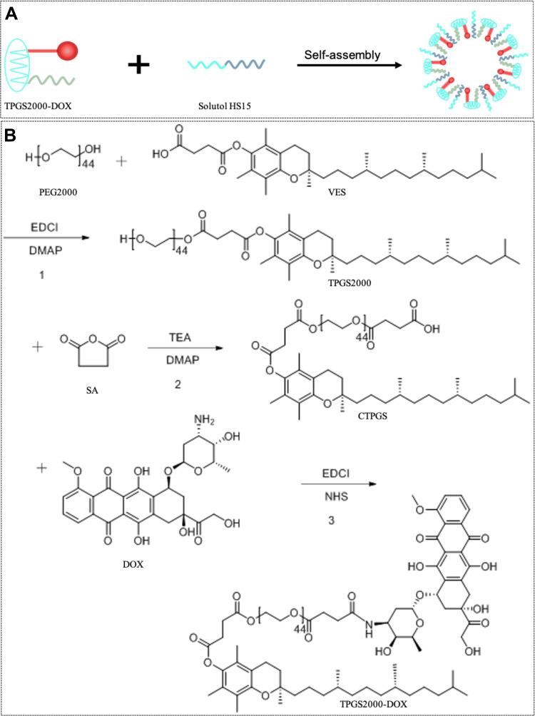 https://cdn.ncbi.nlm.nih.gov/pmc/blobs/29fa/8647655/35439366d9b3/IJN-16-7875-g0001.jpg