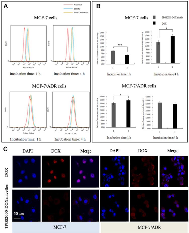 https://cdn.ncbi.nlm.nih.gov/pmc/blobs/29fa/8647655/b4e95bf93964/IJN-16-7875-g0004.jpg