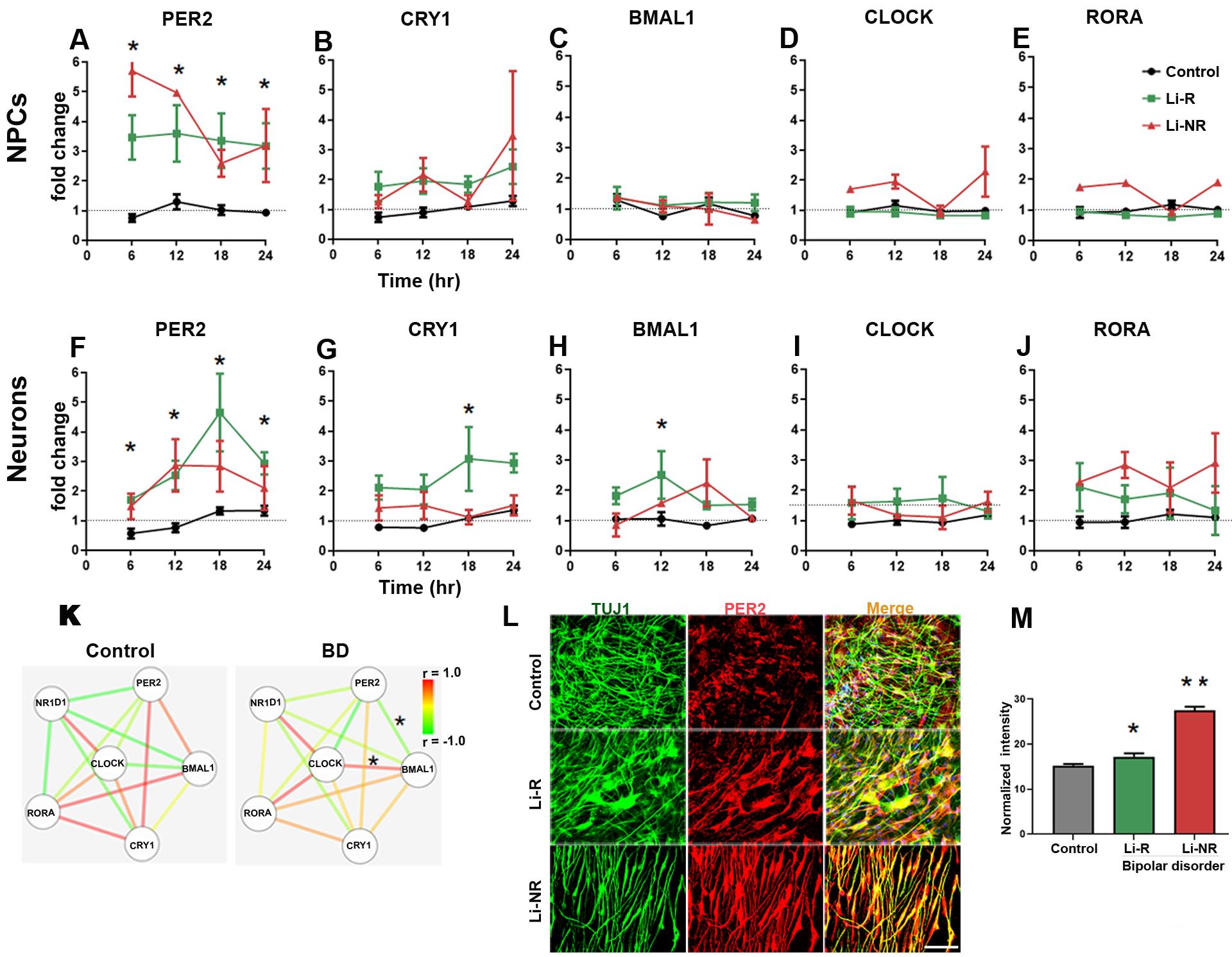 https://cdn.ncbi.nlm.nih.gov/pmc/blobs/29fb/8418615/87fbb3bc70b8/nihms-1670114-f0004.jpg