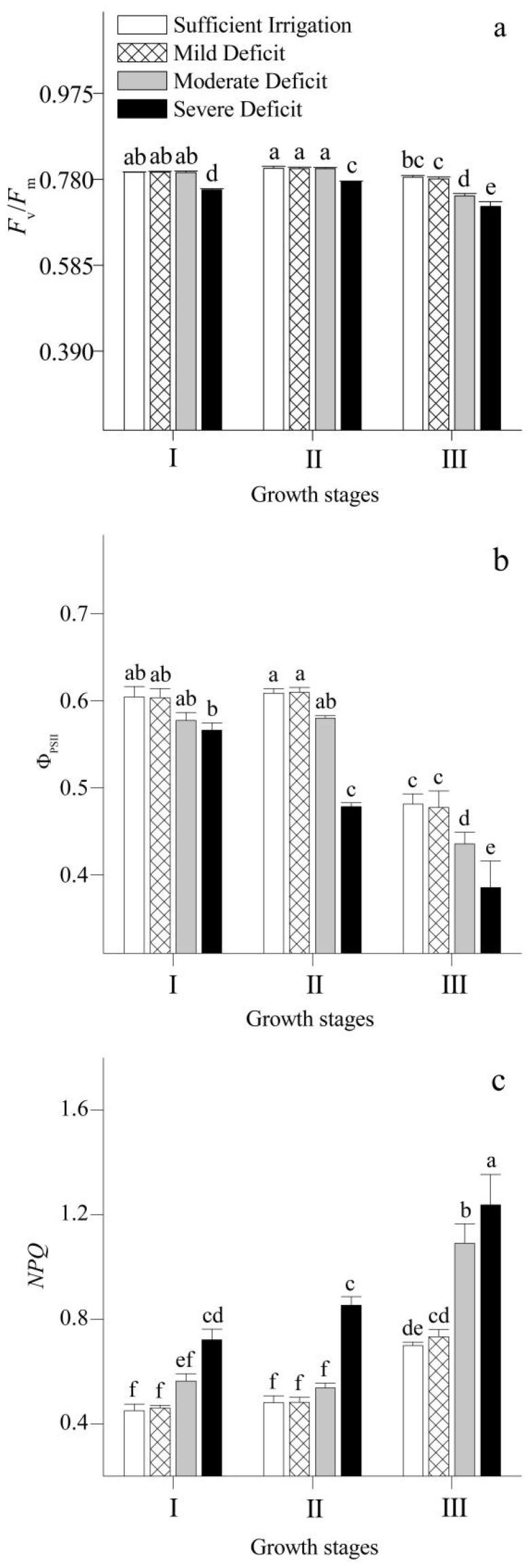 https://cdn.ncbi.nlm.nih.gov/pmc/blobs/29fc/10255403/3b329e26fe31/plants-12-02076-g005.jpg