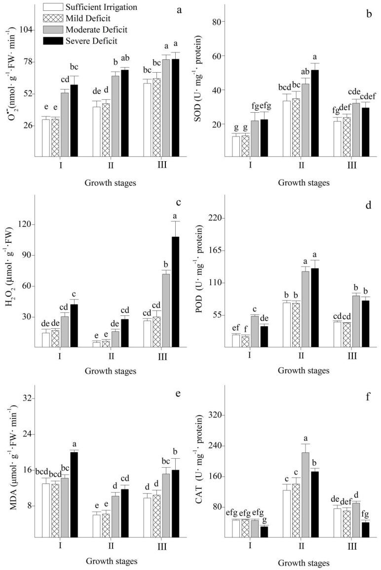 https://cdn.ncbi.nlm.nih.gov/pmc/blobs/29fc/10255403/d473796941e0/plants-12-02076-g006.jpg