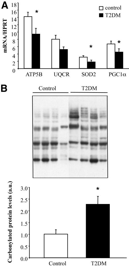 https://cdn.ncbi.nlm.nih.gov/pmc/blobs/29fc/3012179/3bd670cc17fb/zdb0011164250006.jpg