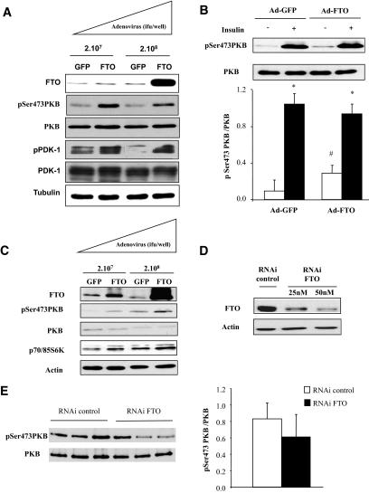https://cdn.ncbi.nlm.nih.gov/pmc/blobs/29fc/3012179/5ac56a73faf1/zdb0011164250003.jpg