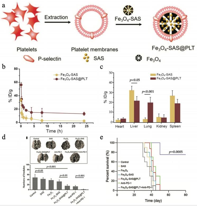 https://cdn.ncbi.nlm.nih.gov/pmc/blobs/29fd/10820497/2eea2b7ac4d4/pharmaceutics-16-00022-g006.jpg