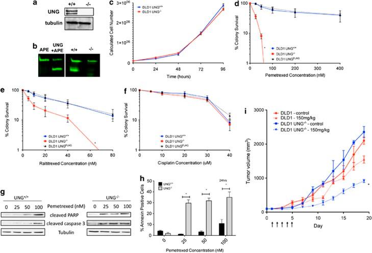 https://cdn.ncbi.nlm.nih.gov/pmc/blobs/29fd/3944228/6a7f8020516c/cddis2013477f1.jpg