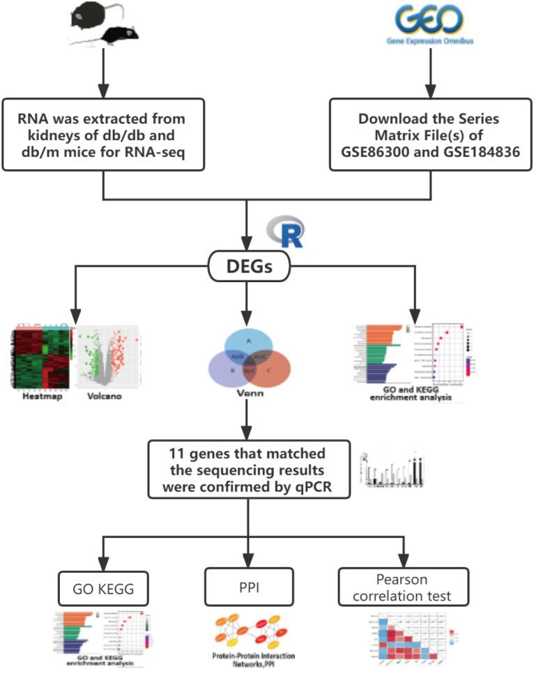 https://cdn.ncbi.nlm.nih.gov/pmc/blobs/29fd/9504448/03fe45f3f624/peerj-10-13932-g001.jpg
