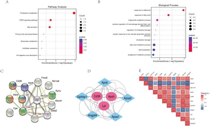 https://cdn.ncbi.nlm.nih.gov/pmc/blobs/29fd/9504448/4fde8c780a7c/peerj-10-13932-g006.jpg