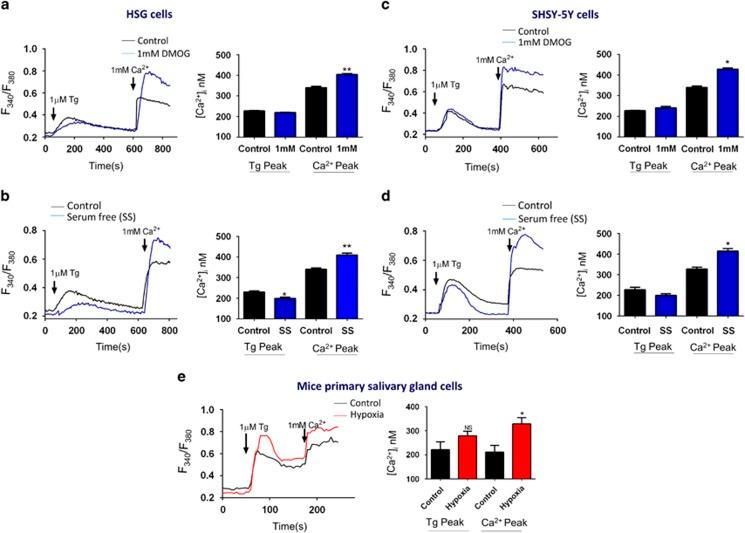 https://cdn.ncbi.nlm.nih.gov/pmc/blobs/29fe/4385947/a149f14cac5e/cddis20157f3.jpg