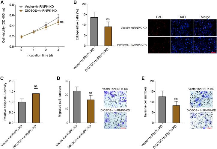 https://cdn.ncbi.nlm.nih.gov/pmc/blobs/29fe/8551476/0835b6f69b23/gr8.jpg