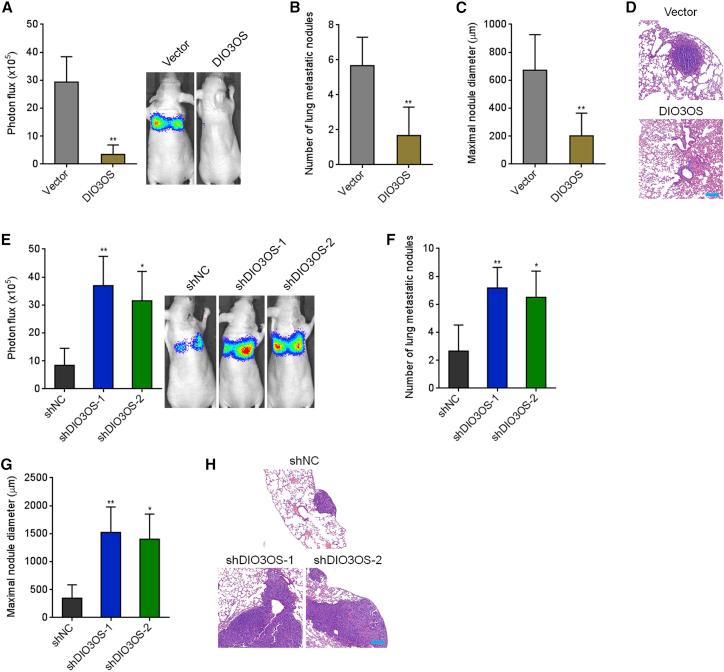 https://cdn.ncbi.nlm.nih.gov/pmc/blobs/29fe/8551476/0cd125df3b5f/gr5.jpg