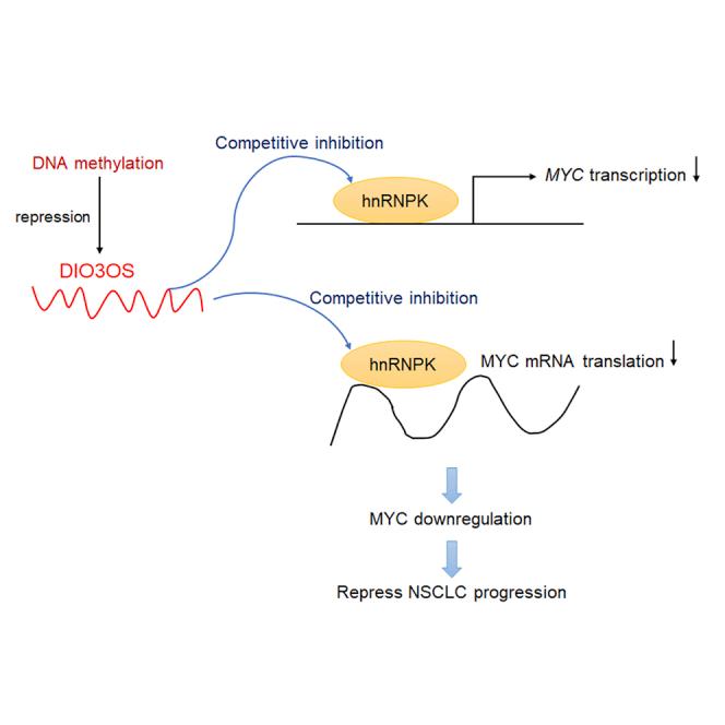 https://cdn.ncbi.nlm.nih.gov/pmc/blobs/29fe/8551476/25684ed8c0ed/fx1.jpg