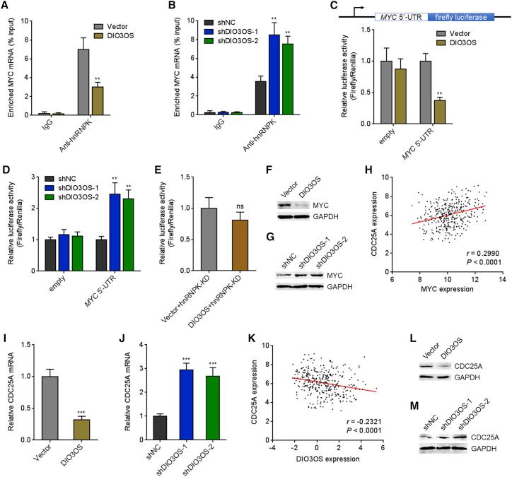 https://cdn.ncbi.nlm.nih.gov/pmc/blobs/29fe/8551476/869c20dc39a6/gr7.jpg