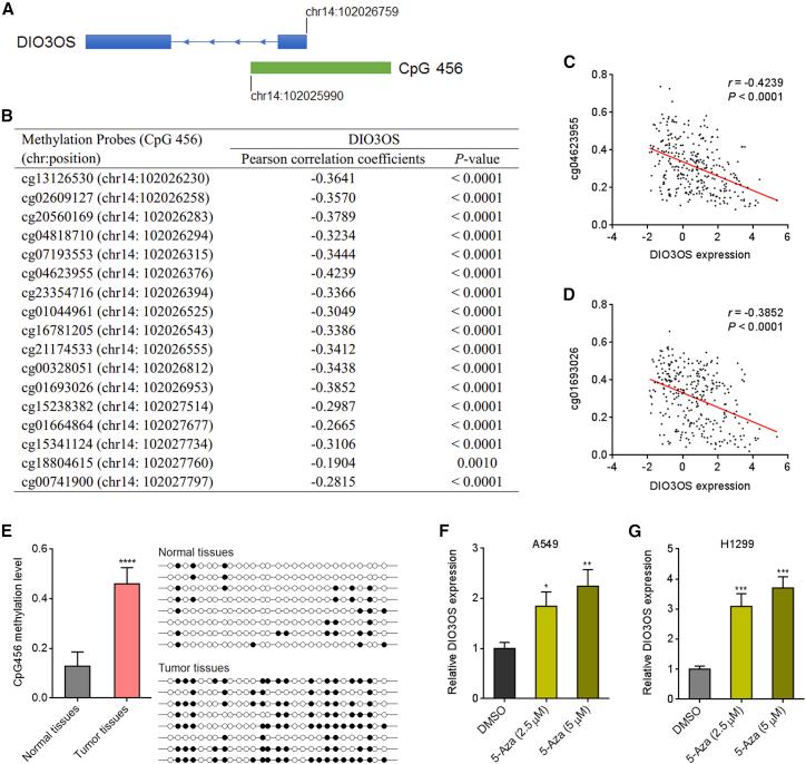 https://cdn.ncbi.nlm.nih.gov/pmc/blobs/29fe/8551476/c6f1f7285d44/gr2.jpg