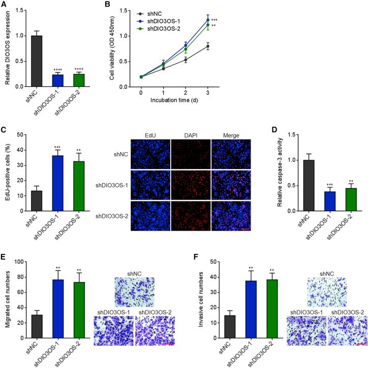 https://cdn.ncbi.nlm.nih.gov/pmc/blobs/29fe/8551476/e9f5eba06870/gr4.jpg
