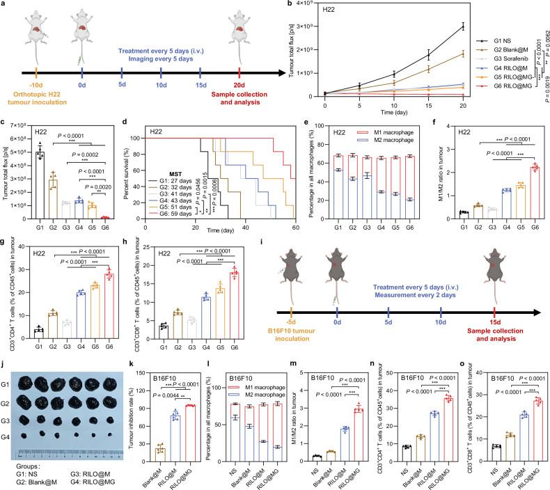 https://cdn.ncbi.nlm.nih.gov/pmc/blobs/29ff/11420241/000b9e11525d/41467_2024_52500_Fig8_HTML.jpg