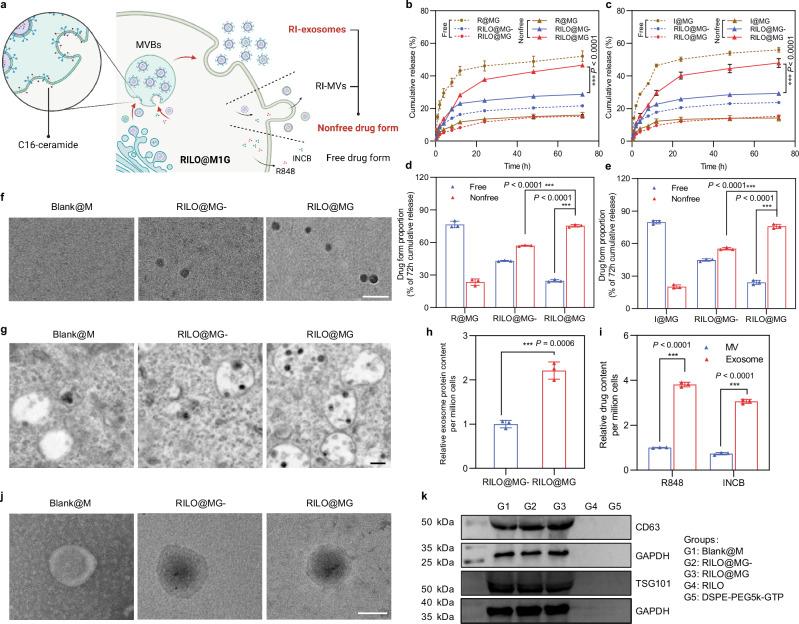 https://cdn.ncbi.nlm.nih.gov/pmc/blobs/29ff/11420241/3c0c9f248693/41467_2024_52500_Fig3_HTML.jpg