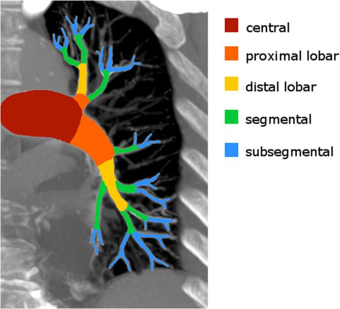 https://cdn.ncbi.nlm.nih.gov/pmc/blobs/2a00/11522666/d104d5654708/41598_2024_77669_Fig1_HTML.jpg