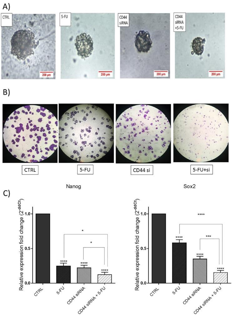 https://cdn.ncbi.nlm.nih.gov/pmc/blobs/2a01/10460815/28eaf1b38f27/apb-13-551-g007.jpg