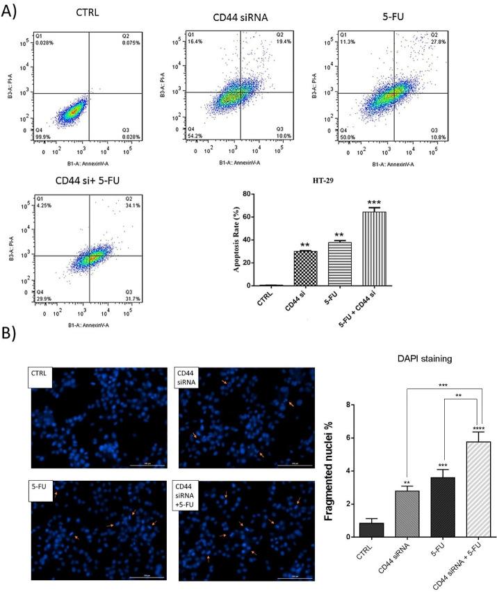 https://cdn.ncbi.nlm.nih.gov/pmc/blobs/2a01/10460815/42f462768b49/apb-13-551-g004.jpg