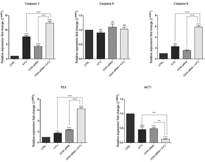 https://cdn.ncbi.nlm.nih.gov/pmc/blobs/2a01/10460815/a33143de73b0/apb-13-551-g005.jpg