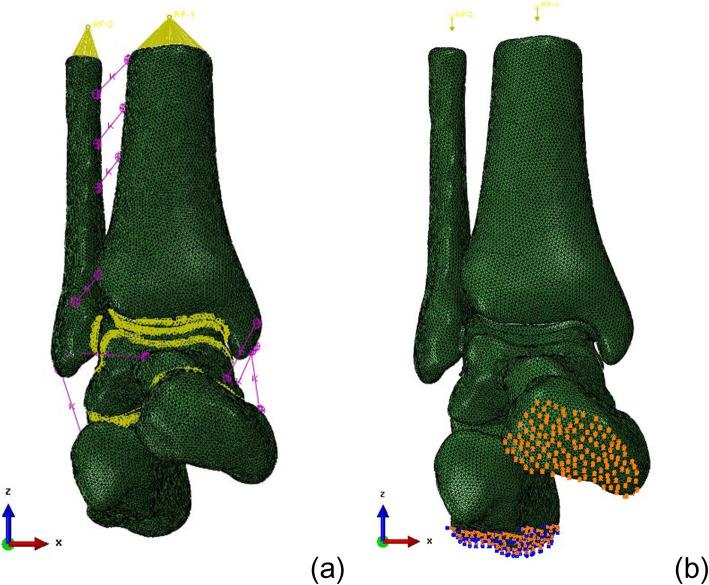 https://cdn.ncbi.nlm.nih.gov/pmc/blobs/2a01/7014601/5663e3dbe4cc/13018_2020_1560_Fig3_HTML.jpg