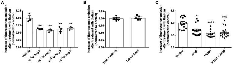 https://cdn.ncbi.nlm.nih.gov/pmc/blobs/2a02/8160308/961599ff5bcf/fphys-12-642409-g002.jpg