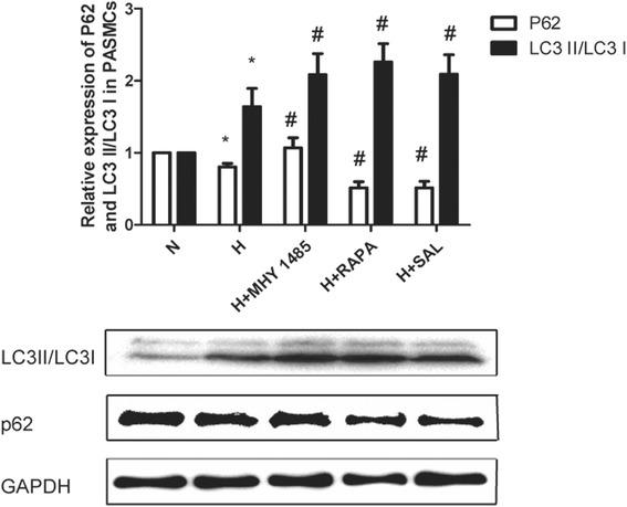 https://cdn.ncbi.nlm.nih.gov/pmc/blobs/2a06/5726034/02126b104a10/12890_2017_477_Fig5_HTML.jpg