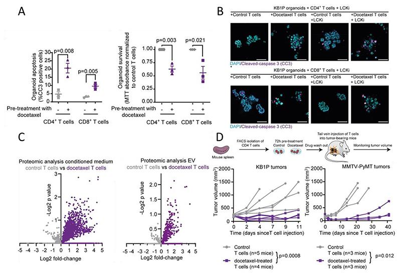 https://cdn.ncbi.nlm.nih.gov/pmc/blobs/2a0a/7615547/6a61186e0138/EMS193368-f006.jpg