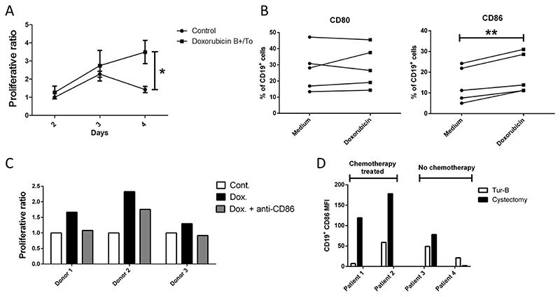 https://cdn.ncbi.nlm.nih.gov/pmc/blobs/2a0a/7615547/82d7619b7e6f/EMS193368-f007.jpg