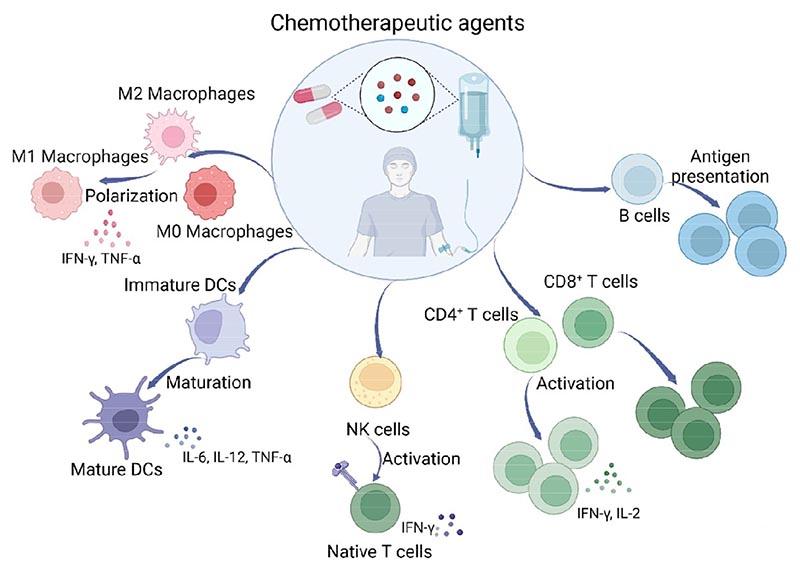 https://cdn.ncbi.nlm.nih.gov/pmc/blobs/2a0a/7615547/e65ef0f27590/EMS193368-f001.jpg