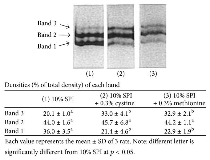 https://cdn.ncbi.nlm.nih.gov/pmc/blobs/2a0e/5002486/e3f927166543/TSWJ2016-6382467.003.jpg
