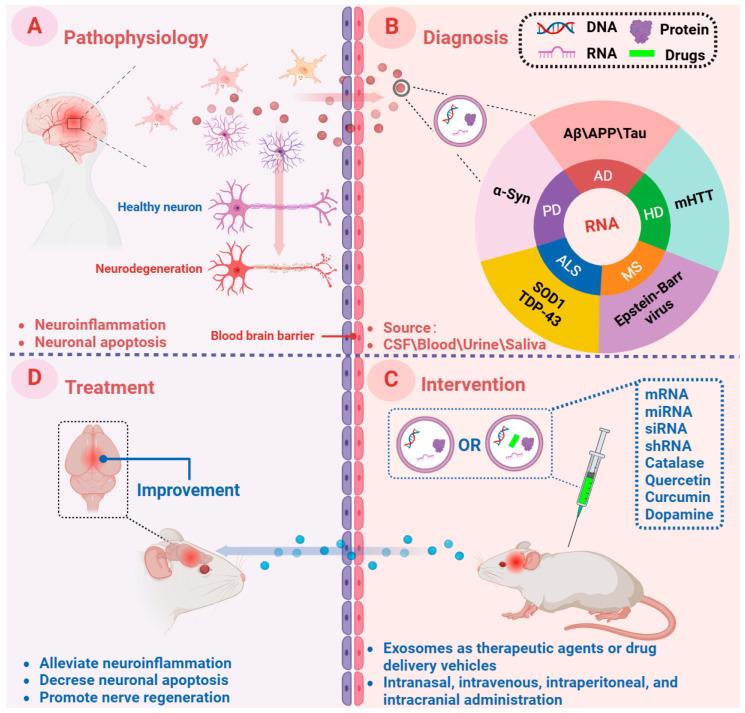 https://cdn.ncbi.nlm.nih.gov/pmc/blobs/2a0f/11591915/22d3530a82f8/brainsci-14-01049-g005.jpg