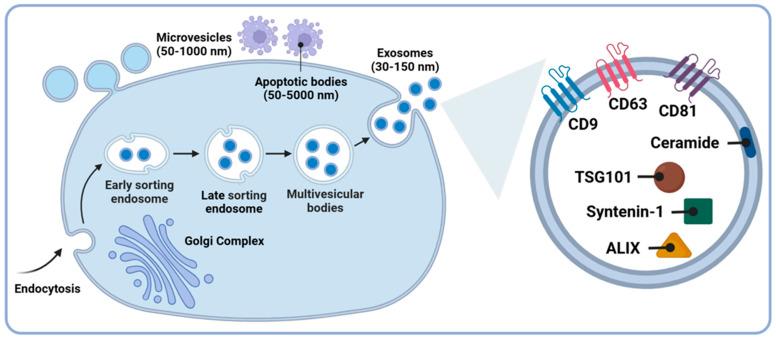 https://cdn.ncbi.nlm.nih.gov/pmc/blobs/2a0f/11591915/f2884b865a6f/brainsci-14-01049-g001.jpg