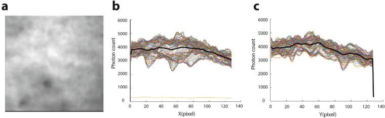 https://cdn.ncbi.nlm.nih.gov/pmc/blobs/2a11/11968936/3d42c9aec5d7/41597_2025_4782_Fig3_HTML.jpg