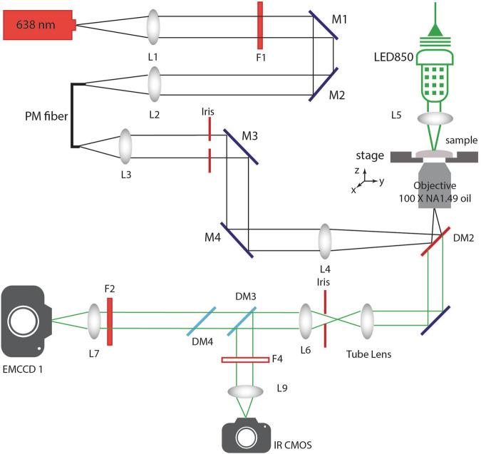 https://cdn.ncbi.nlm.nih.gov/pmc/blobs/2a11/11968936/4f9196604971/41597_2025_4782_Fig2_HTML.jpg